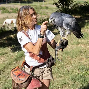 L'aquila E L'ulivo Appartamento
